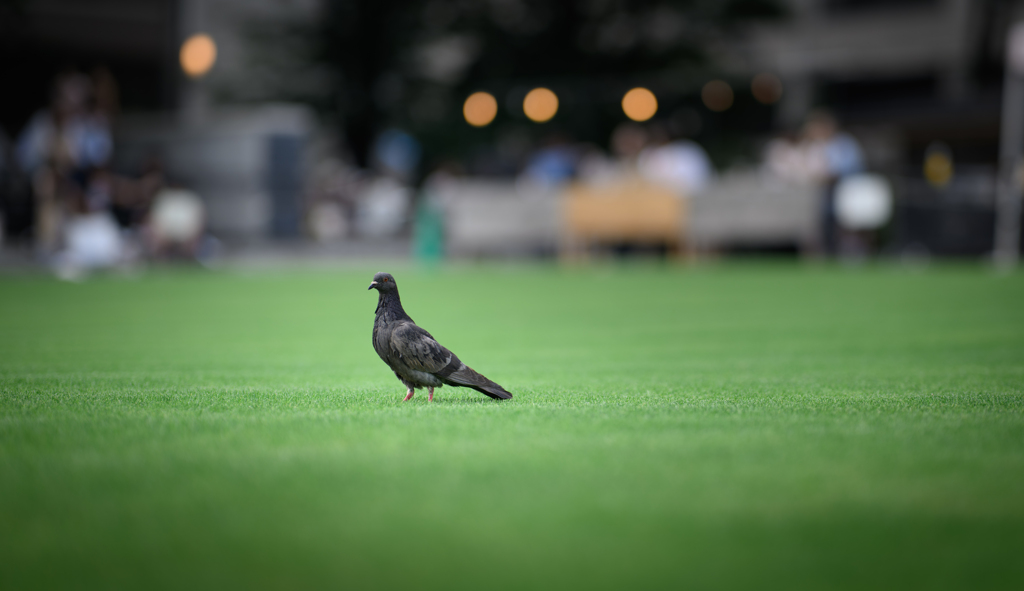 始まりの街の外にいるスライム