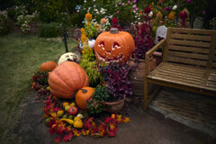 ハーロウィン ハーロウィン