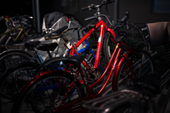 自転車が増える