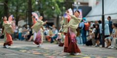 光が丘よさこい