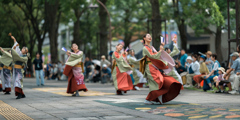 光が丘よさこい