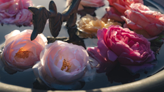 花４