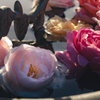 花４