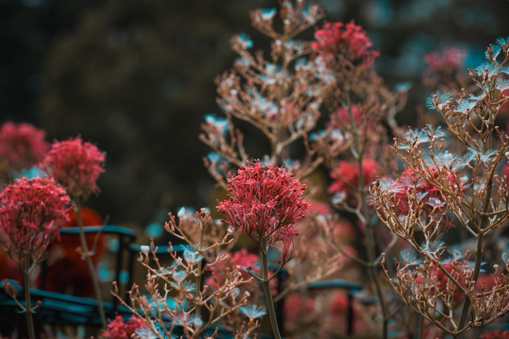 妖精の空中都市