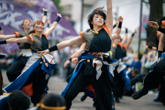 光が丘よさこい