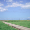 誰かの原風景