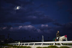 うまつき　ひこうき