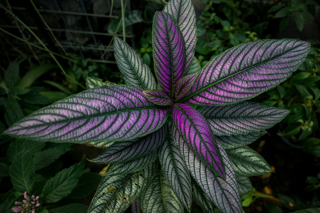 CGみたいなやつ