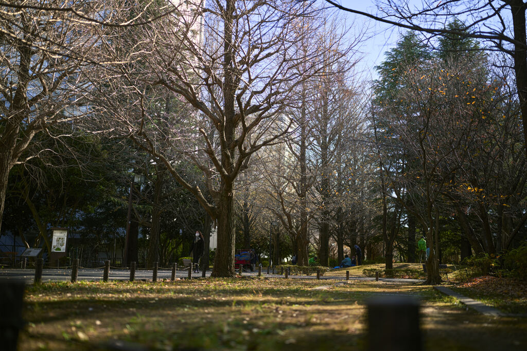 冬を越える準備