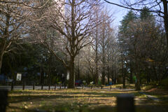 冬を越える準備