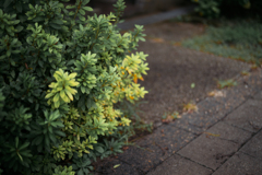 レンズに撮らされる