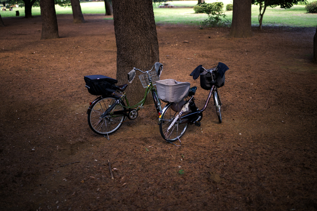 Riderは近くにいるはずだ！