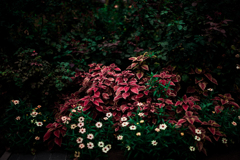 行き過ぎたレタッチ