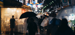 雨のしっぽ