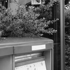 まだまだ現役活躍中