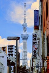 タワービュー通りからツリーを望む