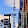 タワービュー通りからツリーを望む