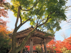 平等院六角堂と紅葉