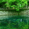 別府弁天池湧水