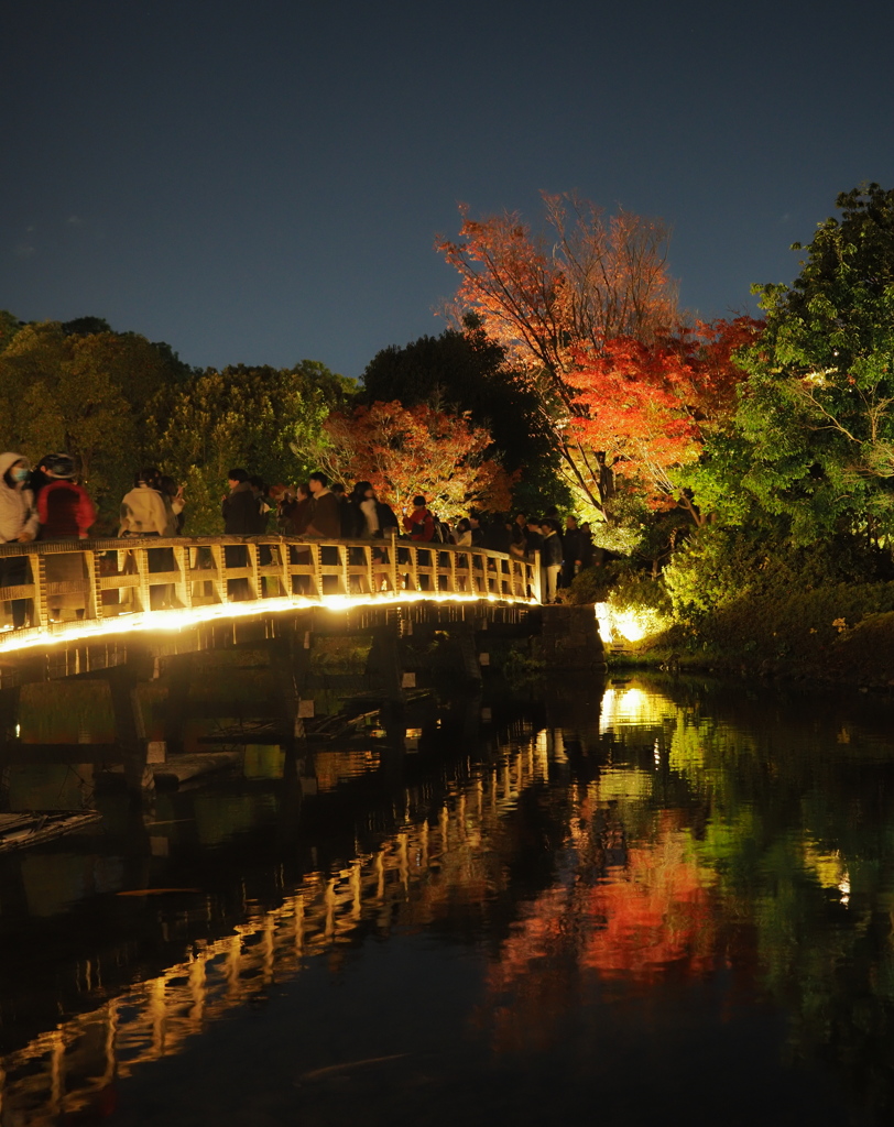 白鳥庭園の夜景とリフレクション
