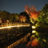 白鳥庭園の夜景とリフレクション