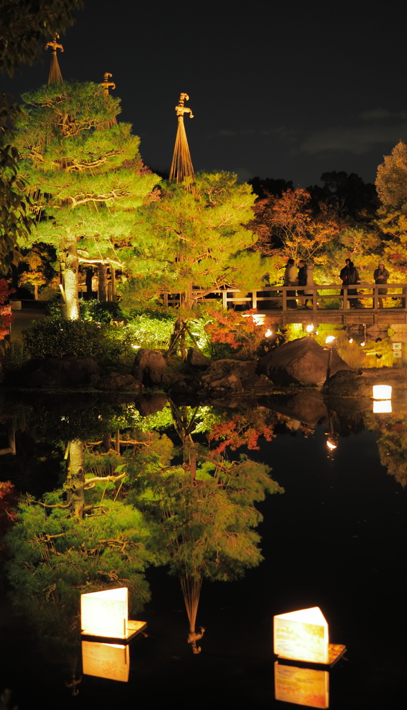 白鳥庭園の夜景ライトアップとリフレクション