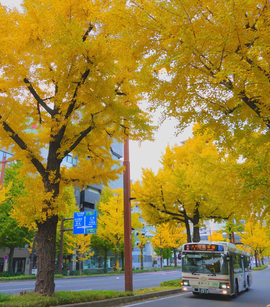 市バスと銀杏。