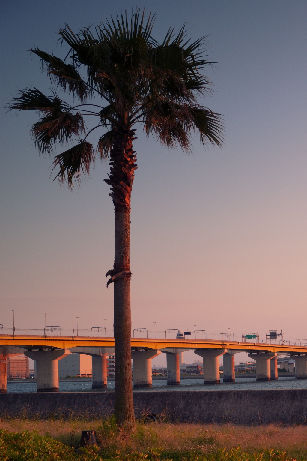 夕景のセントレア大橋