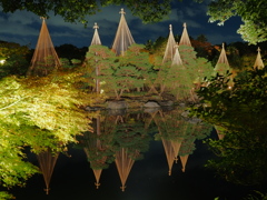 白鳥庭園の夜景ライトアップとリフレクション
