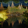 白鳥庭園の夜景ライトアップとリフレクション