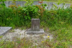 L1003011