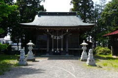 L1003099