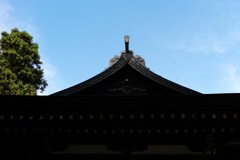 L1004057