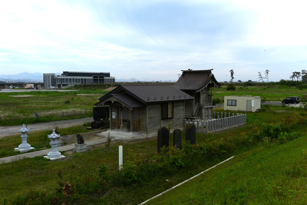 L1003013