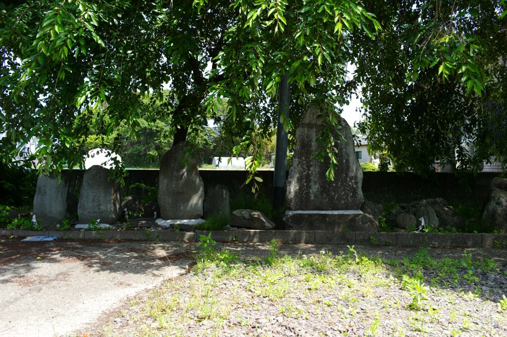 L1003047