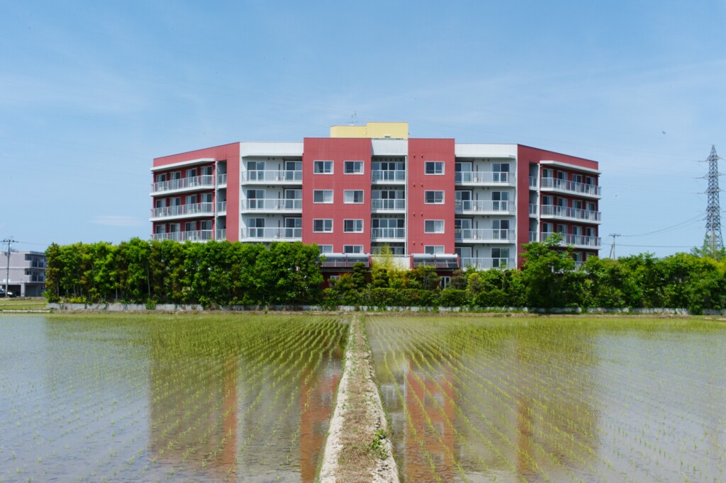 L1003034