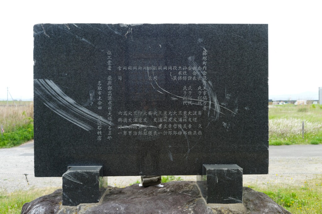 L1003006