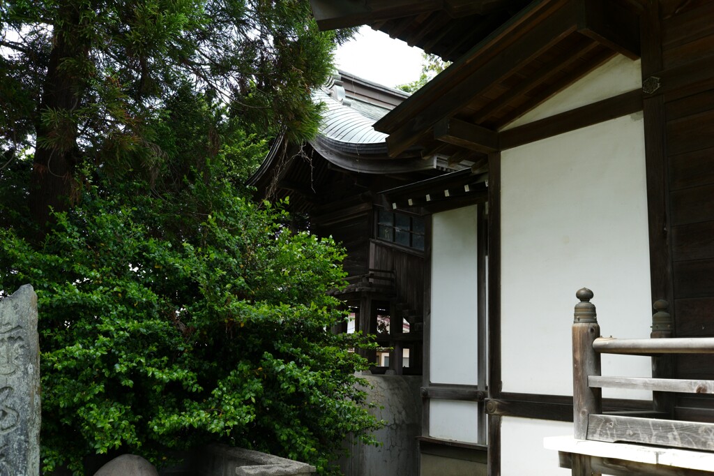 L1003014