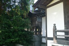 L1004041