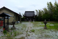 L1003128