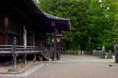 L1006215