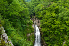 L1006152