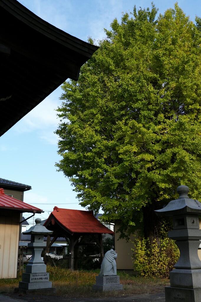 L1004055