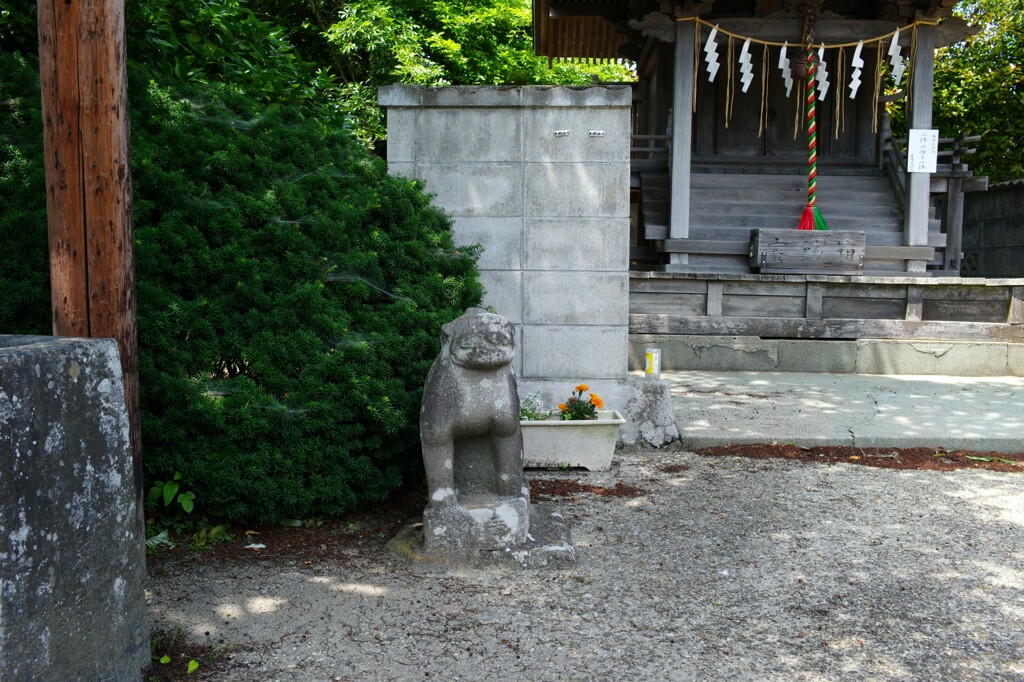 L1003064