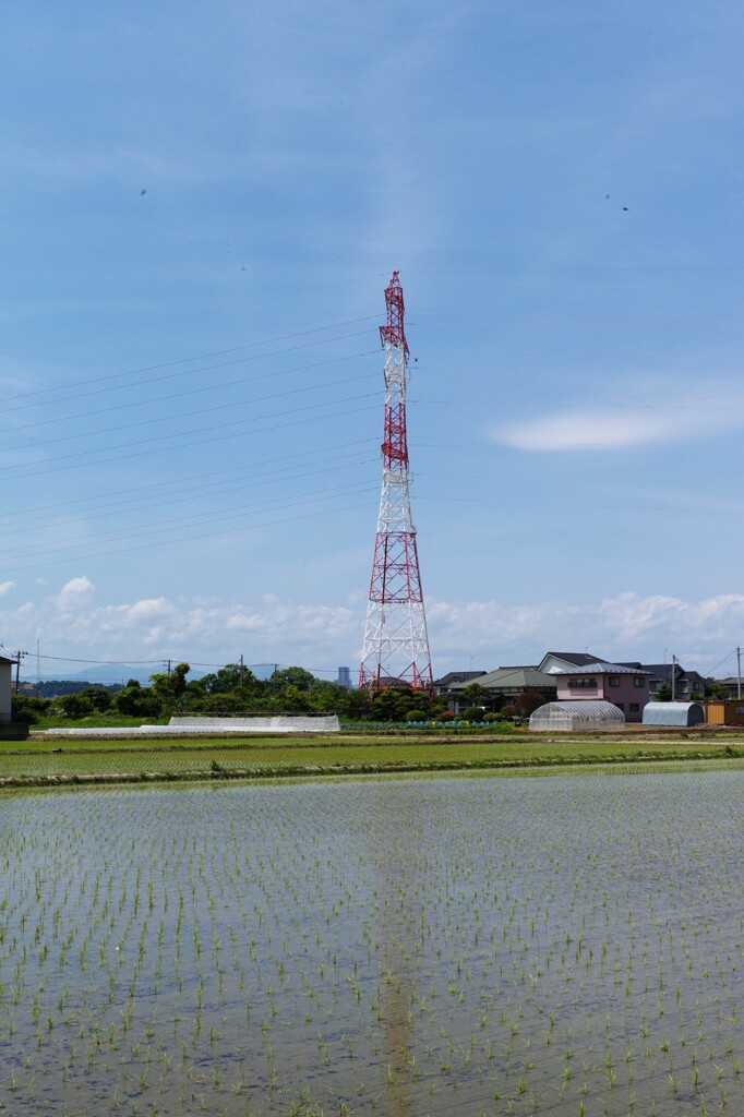 L1003035