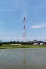 L1003035