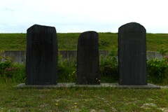 L1003009