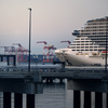 旅する船09(MSC Bellissima)