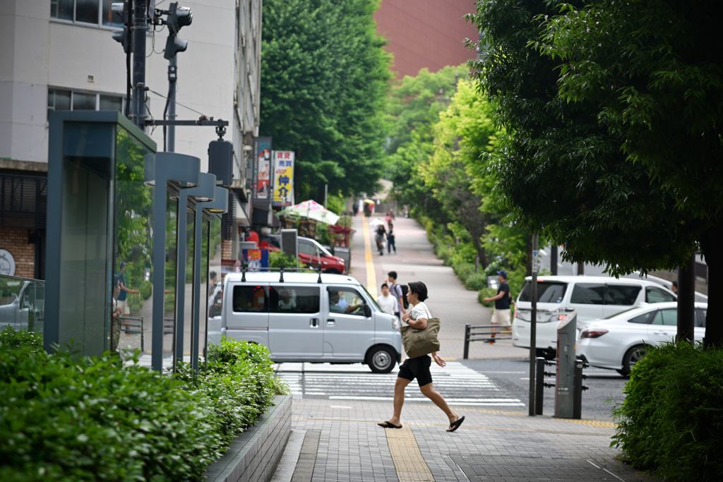 東京散策～文京区小石川01