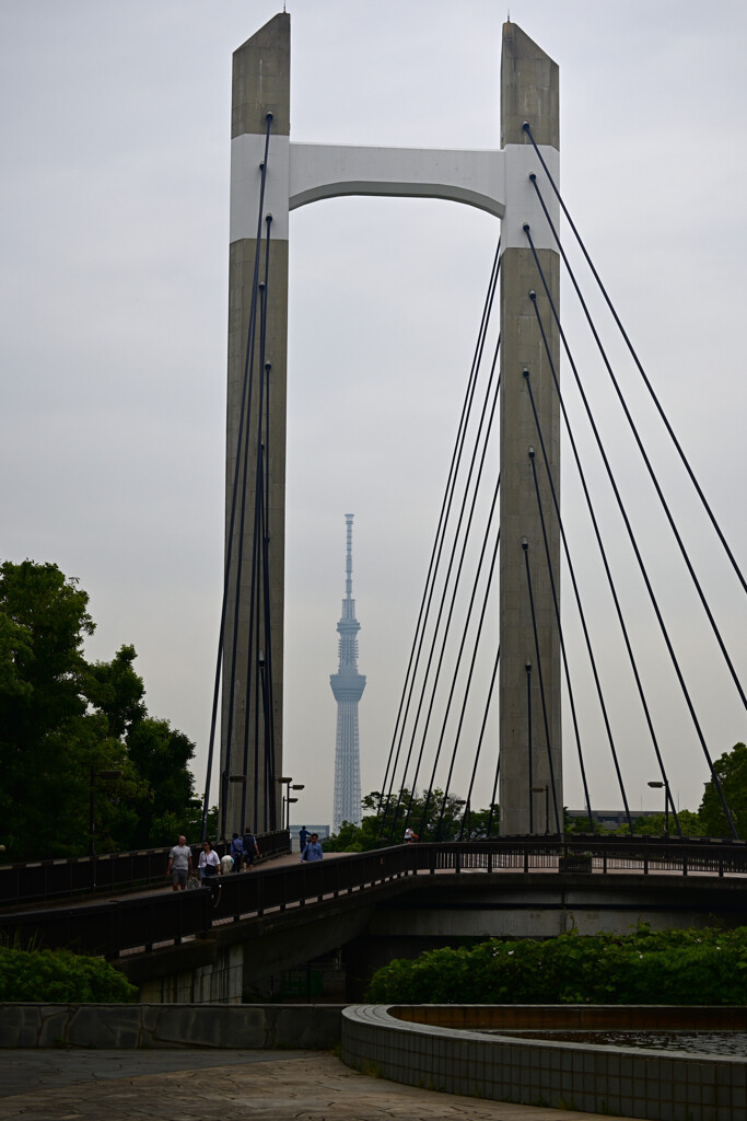 木場公園